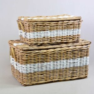 (RKBA 19040) Set Of 2 Recta Trunk