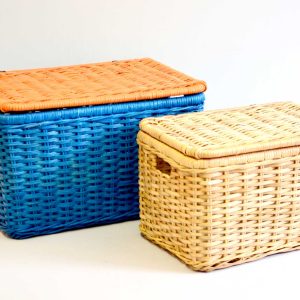 (RCBA 19126) Set Of 2 Recta Trunk