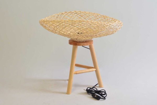 (RCLP-20011) Floor Lamp