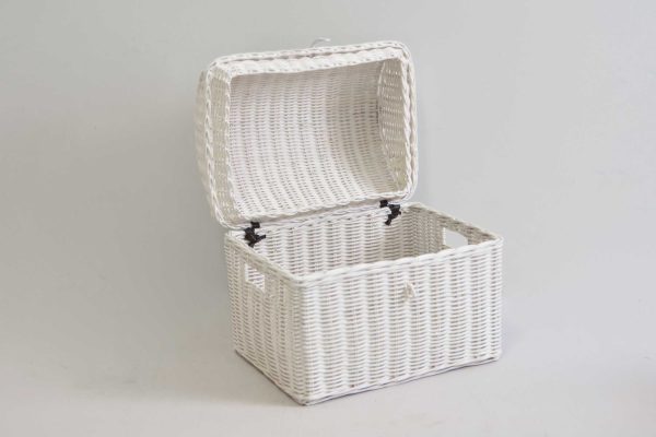 (RCBA 19152) Recta Mini Trunk - Image 2